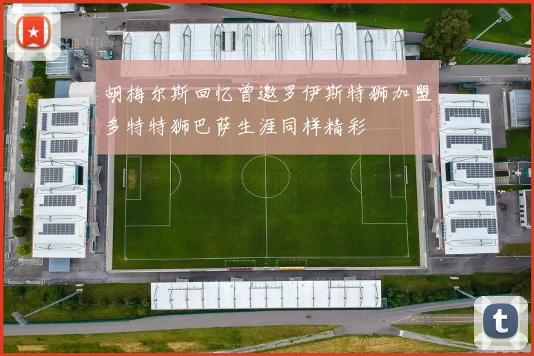 胡梅尔斯回忆曾邀罗伊斯特狮加盟多特特狮巴萨生涯同样精彩