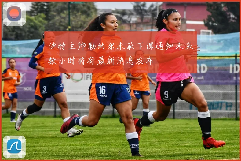 沙特主帅勒纳尔未获下课通知未来数小时将有最新消息发布