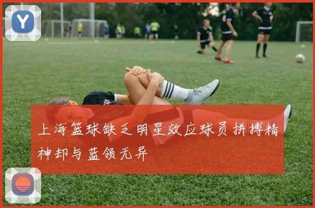 上海篮球缺乏明星效应球员拼搏精神却与蓝领无异